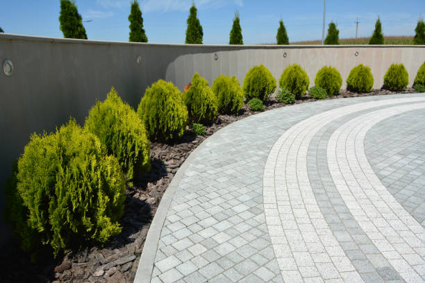 Best Custom Driveway Pavers  in Reidland, KY